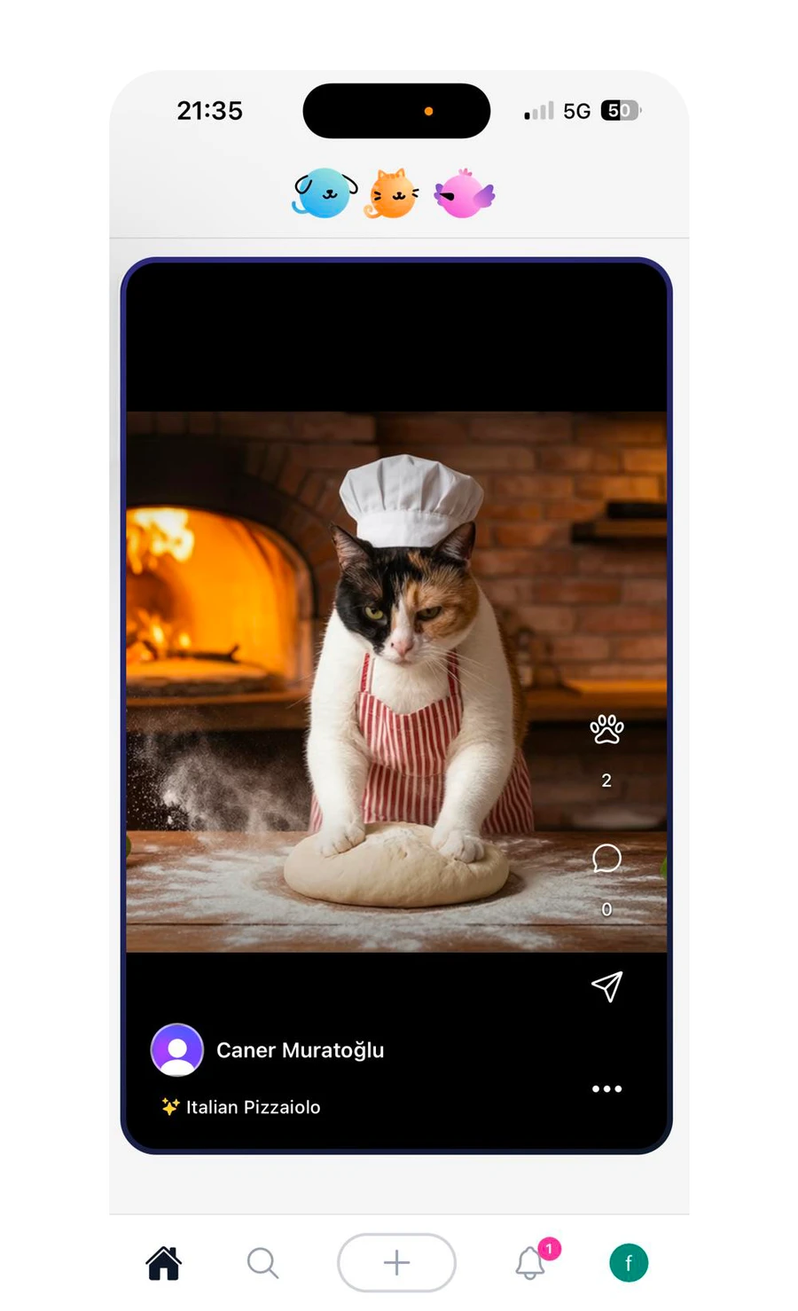 Petzly layout screen